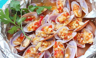 錫紙花甲培訓(xùn),哪里有開心花甲學